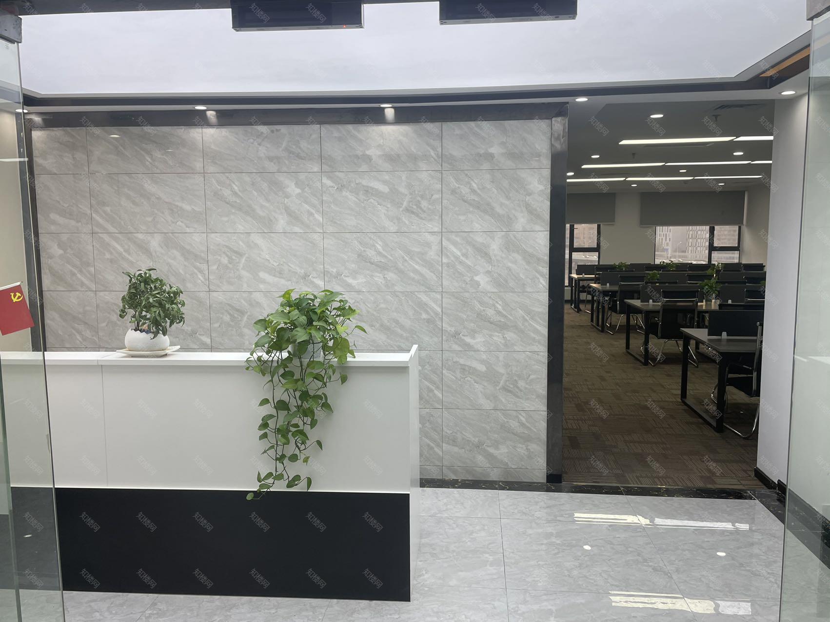 实拍图