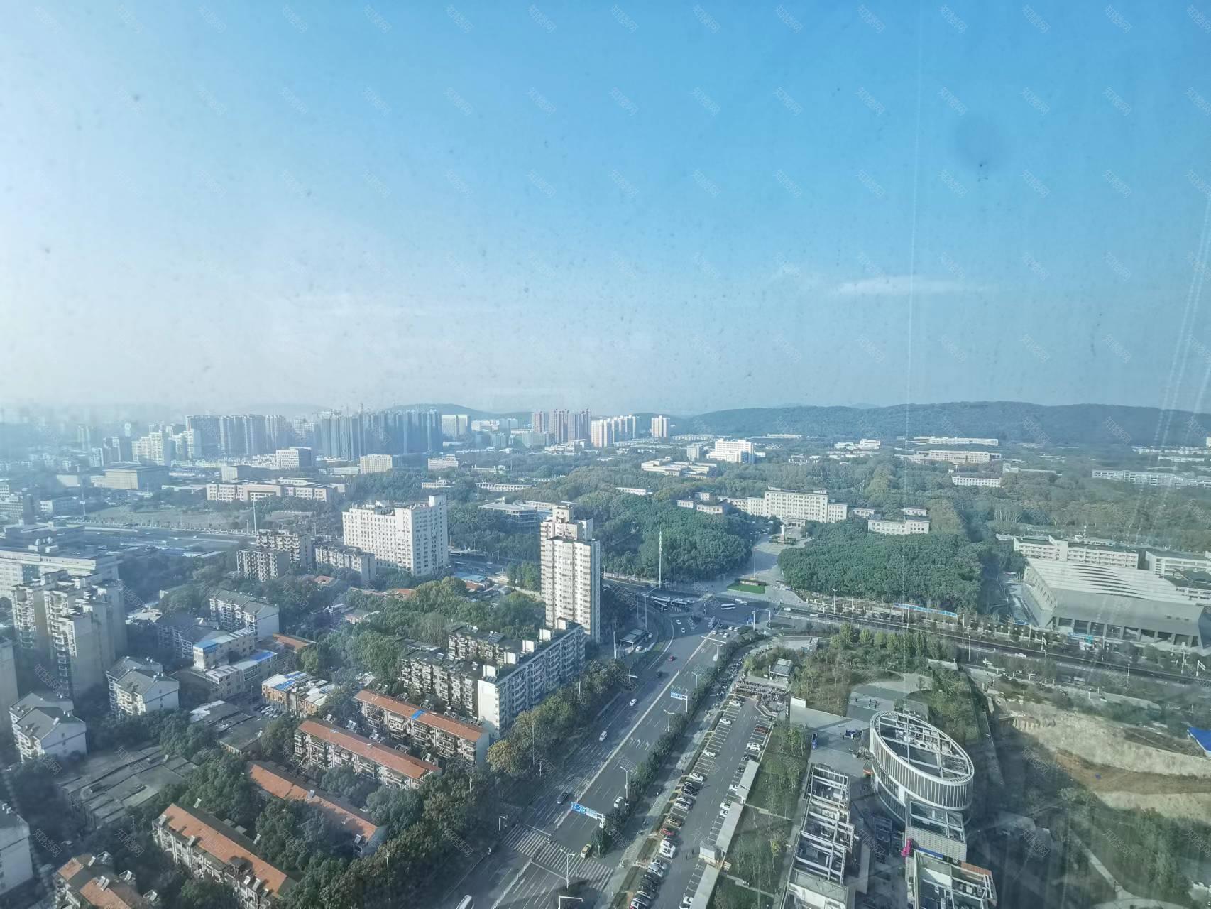 实拍图