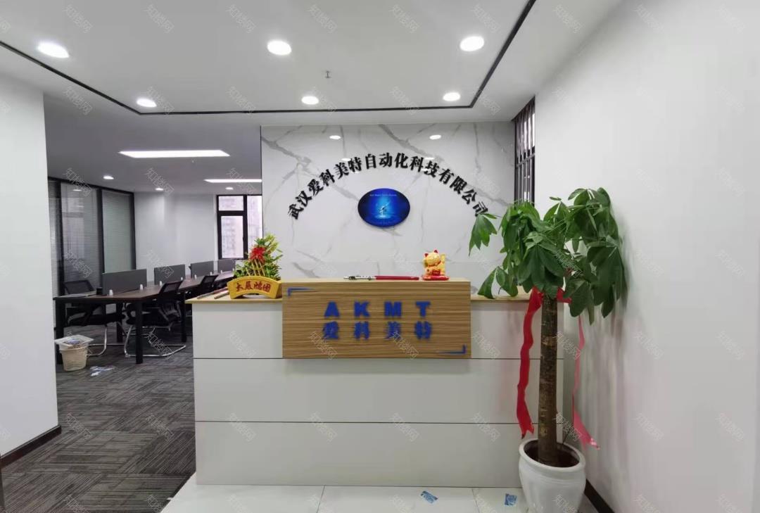 实拍图