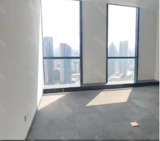 实拍图