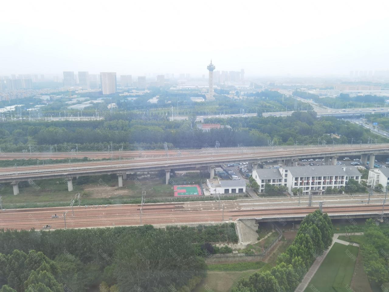 实拍图
