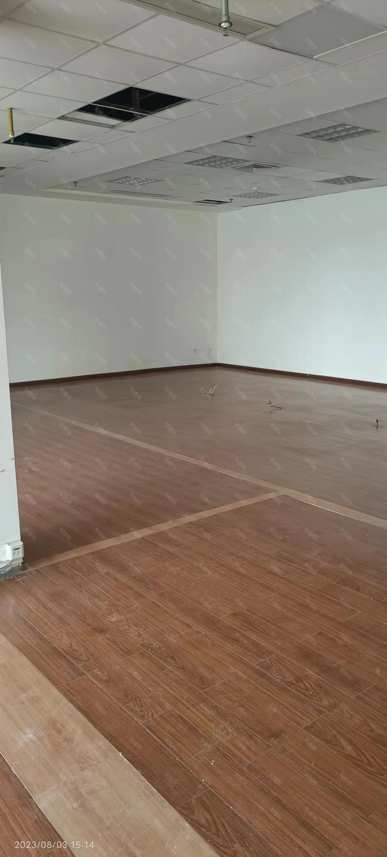 实拍图