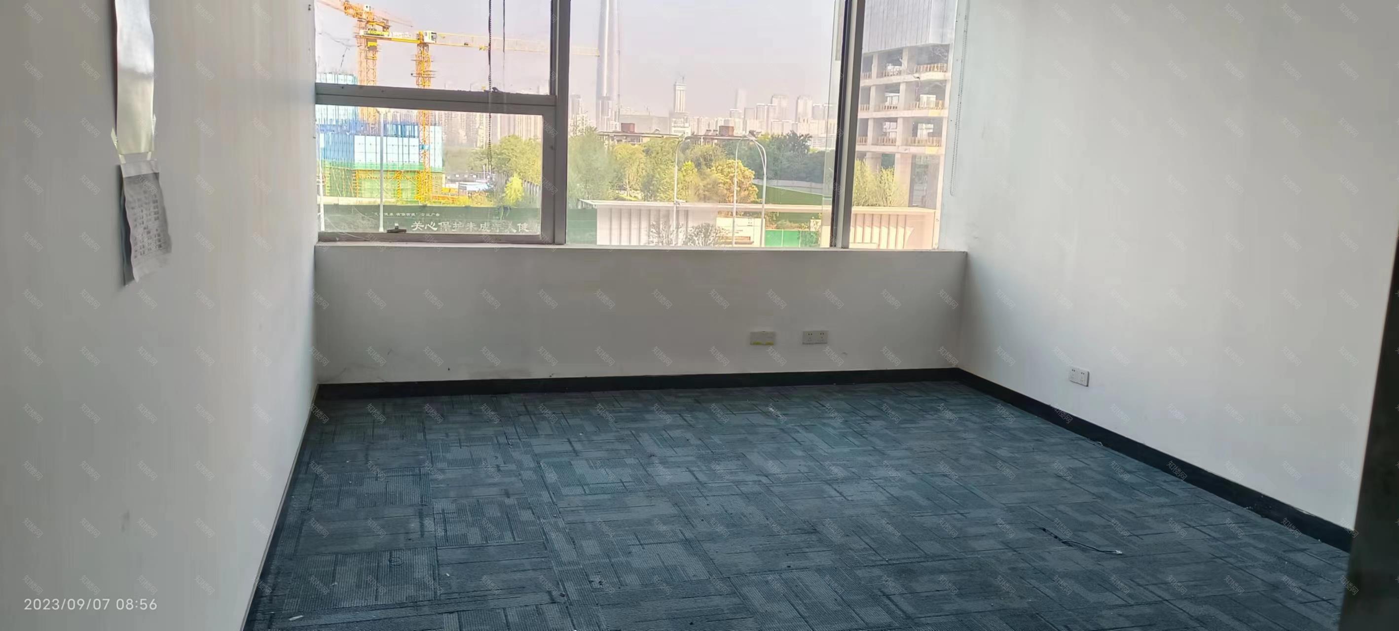 实拍图