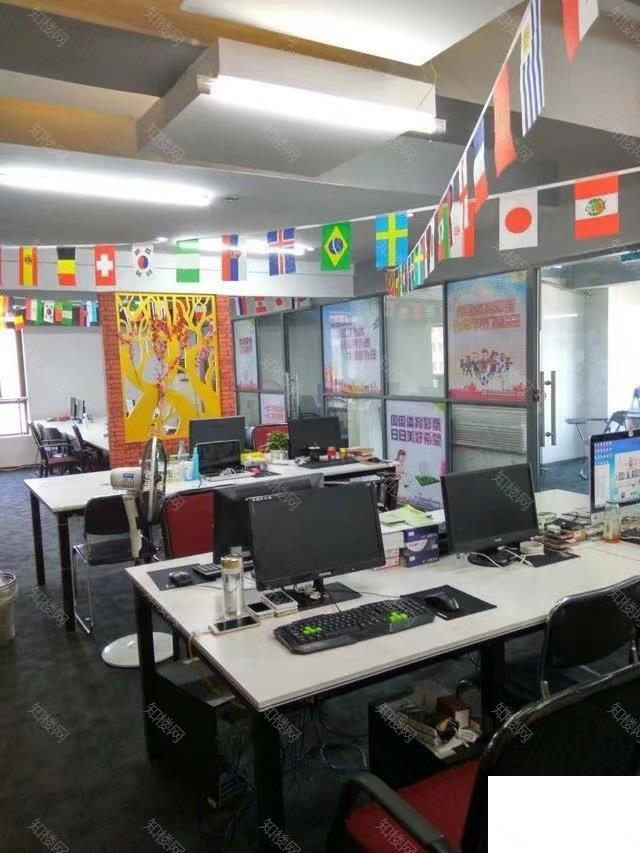 实拍图