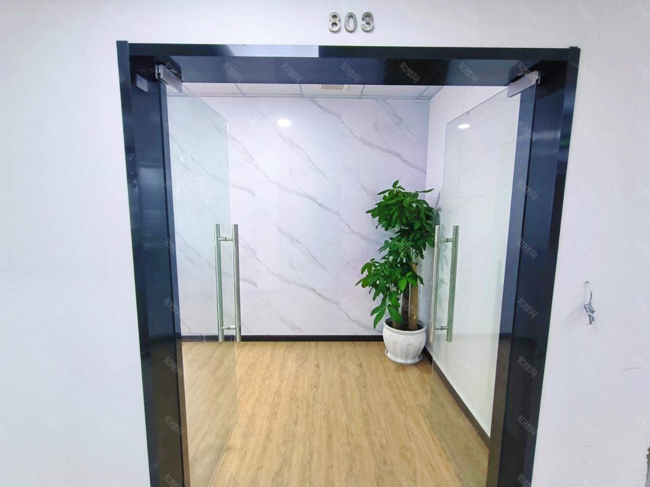 实拍图