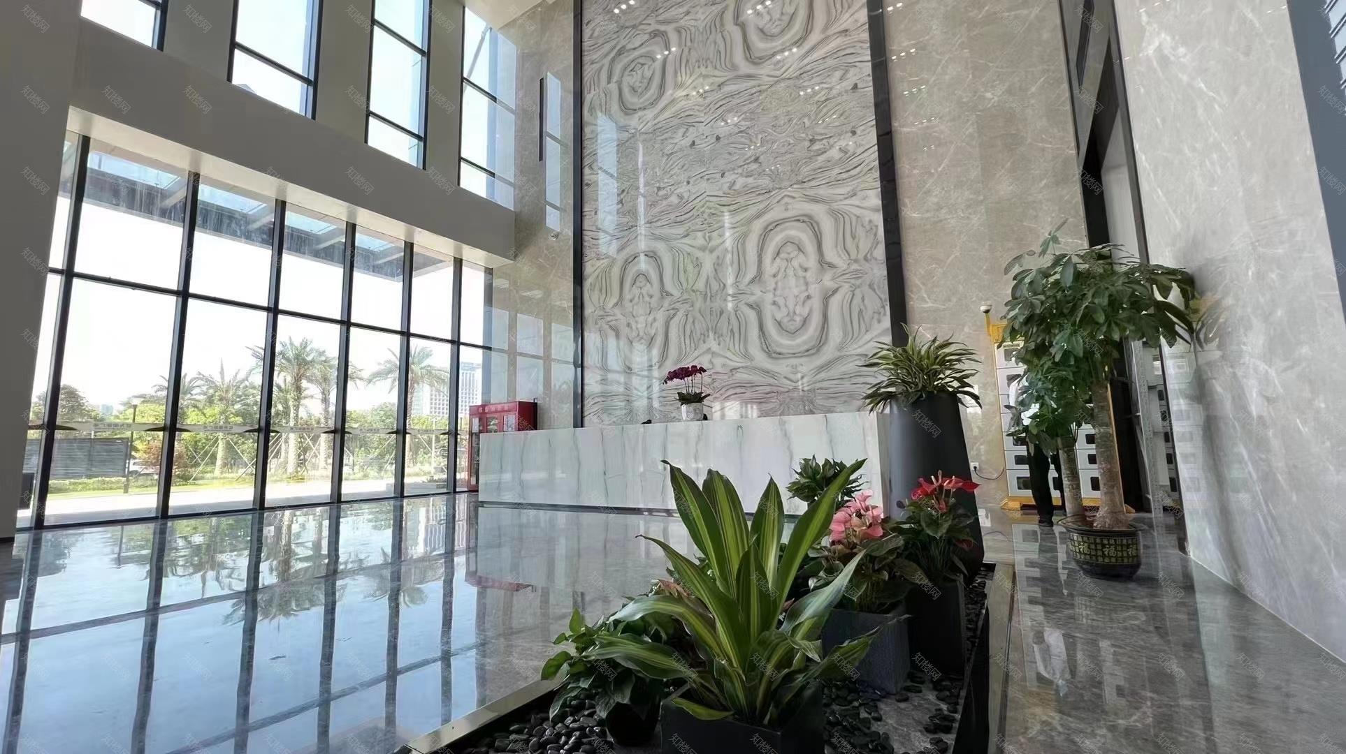 实拍图