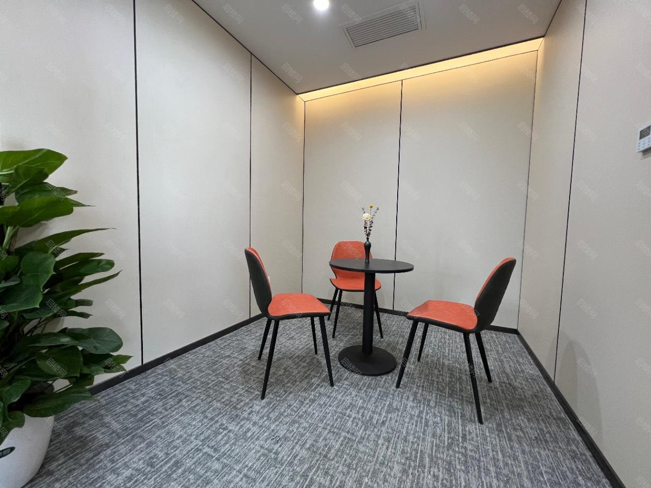 实拍图