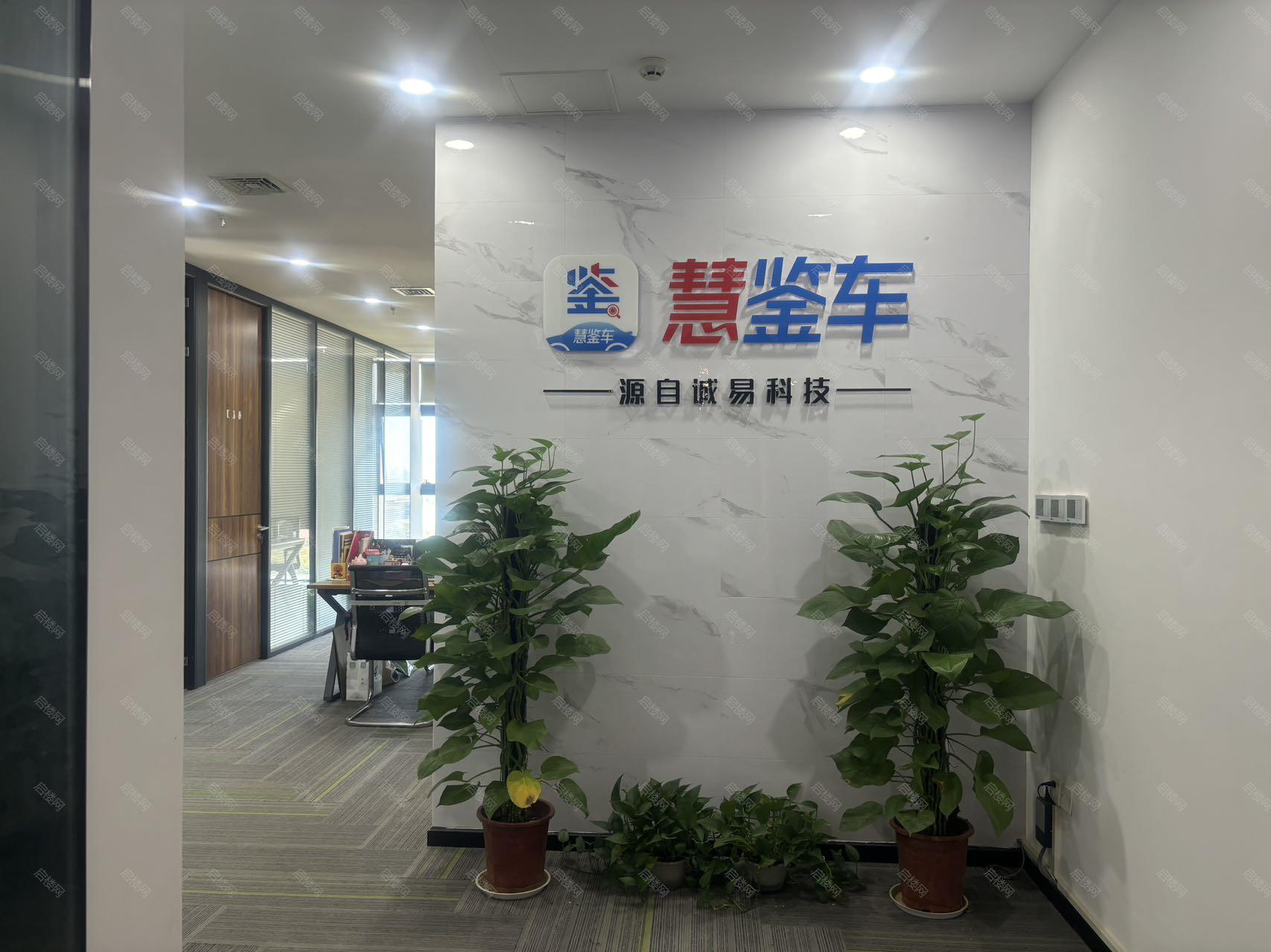 实拍图
