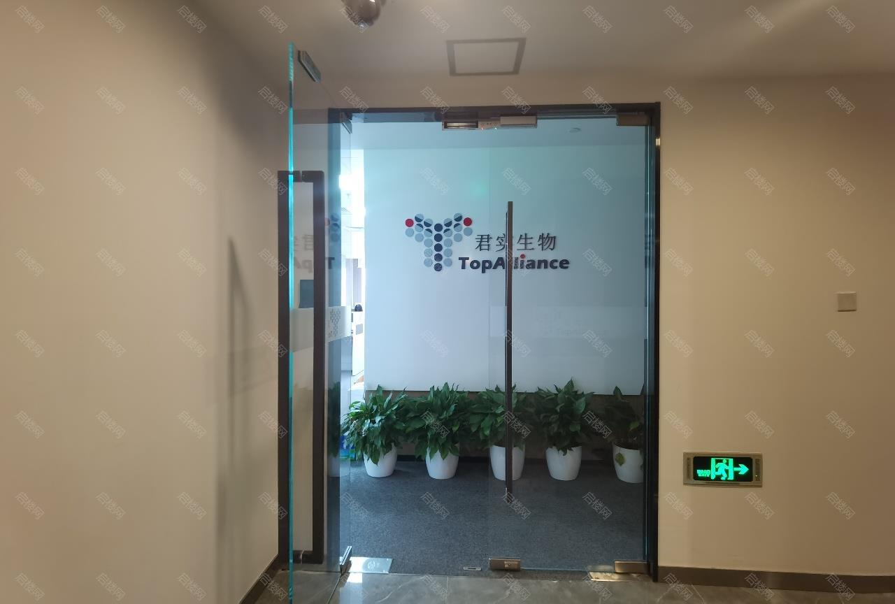 实拍图