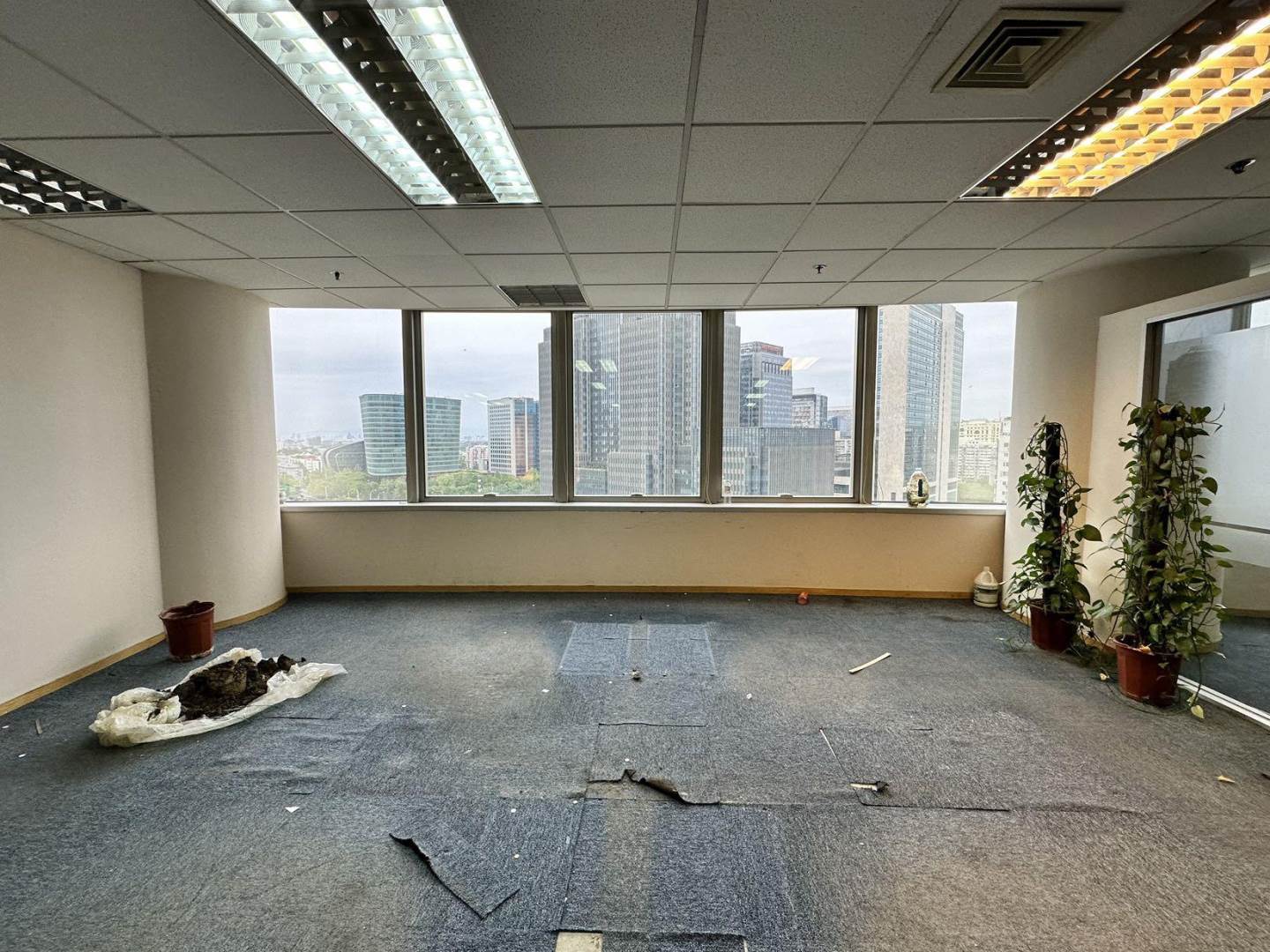 实拍图