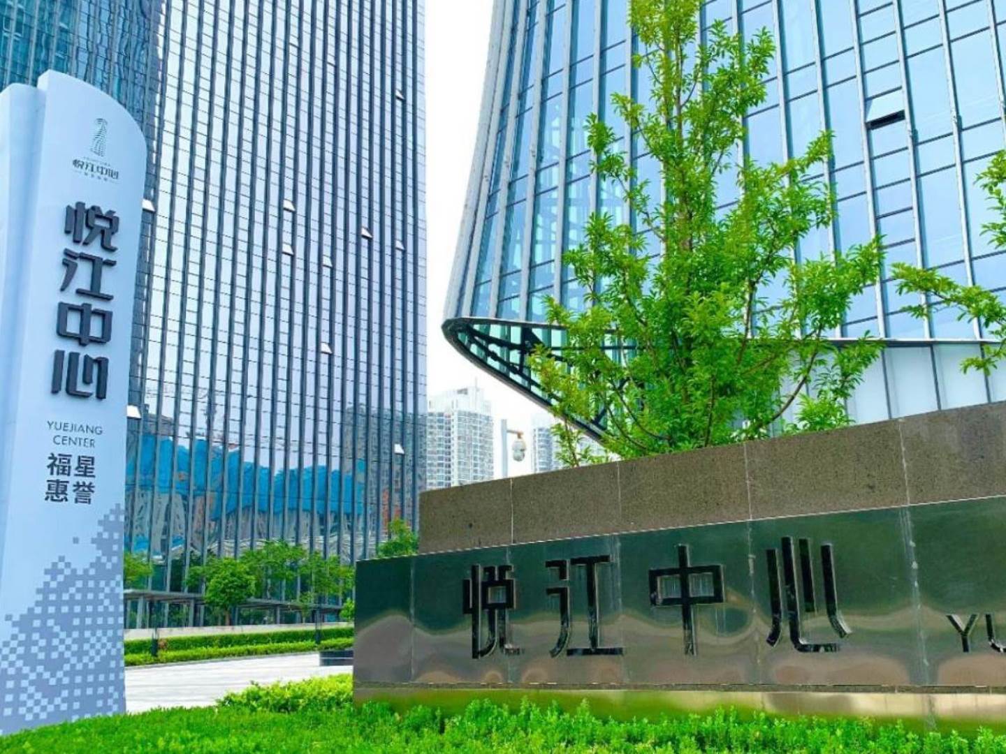 实拍图