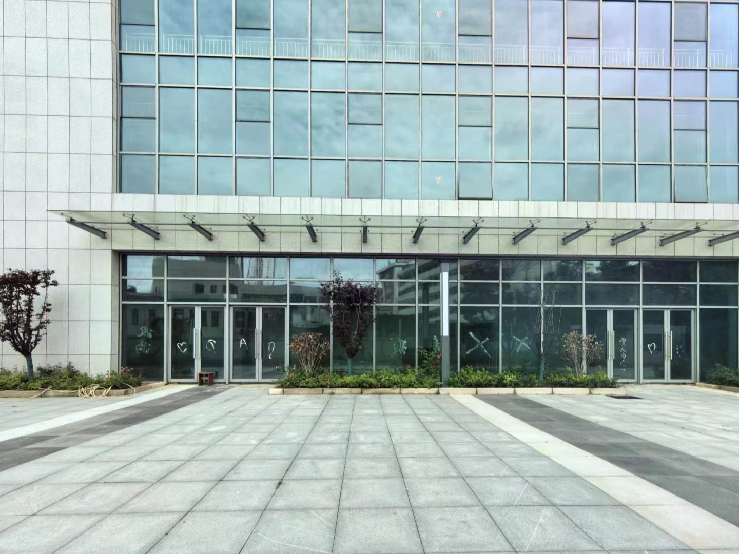 实景图
