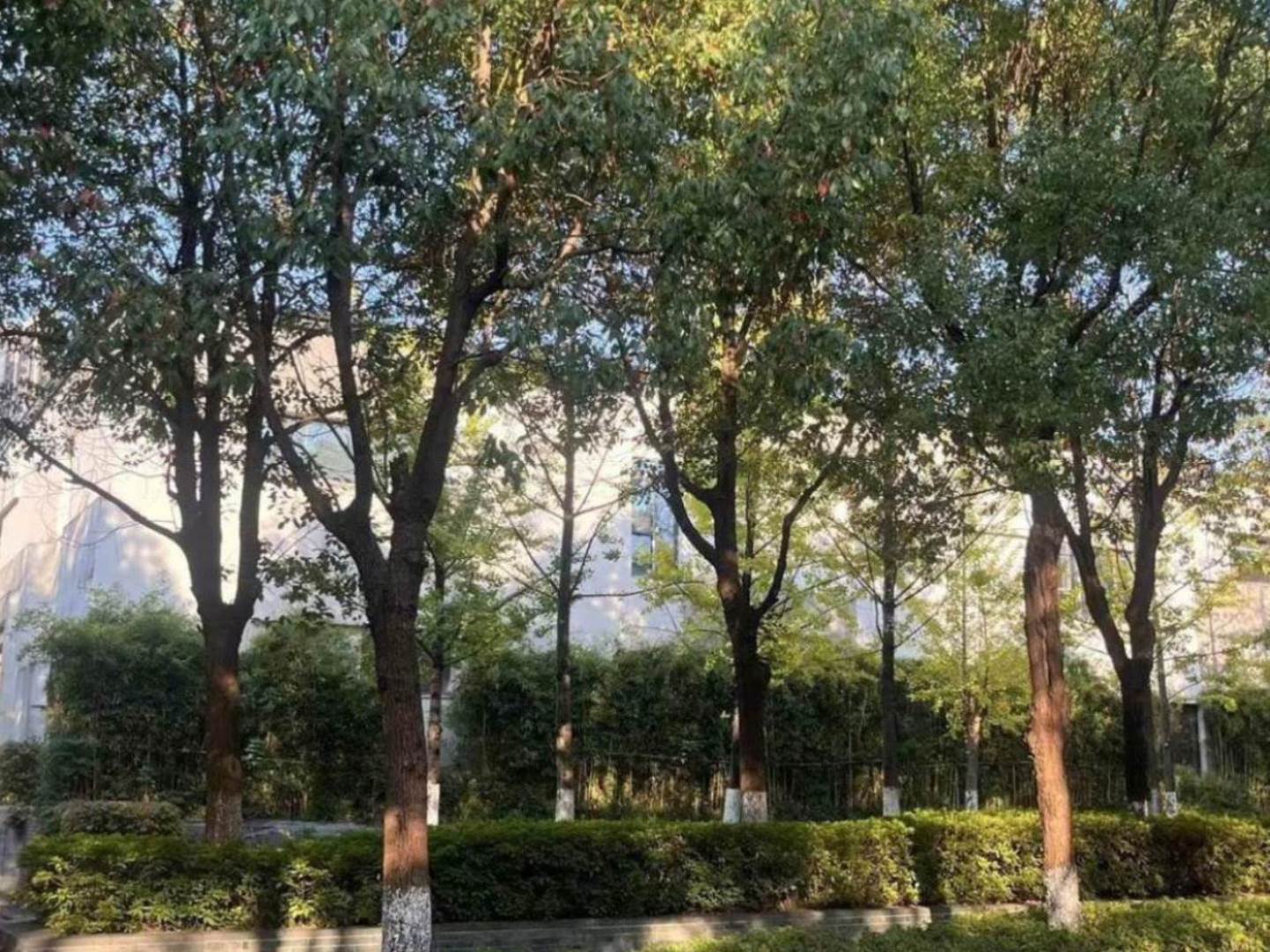 实景图