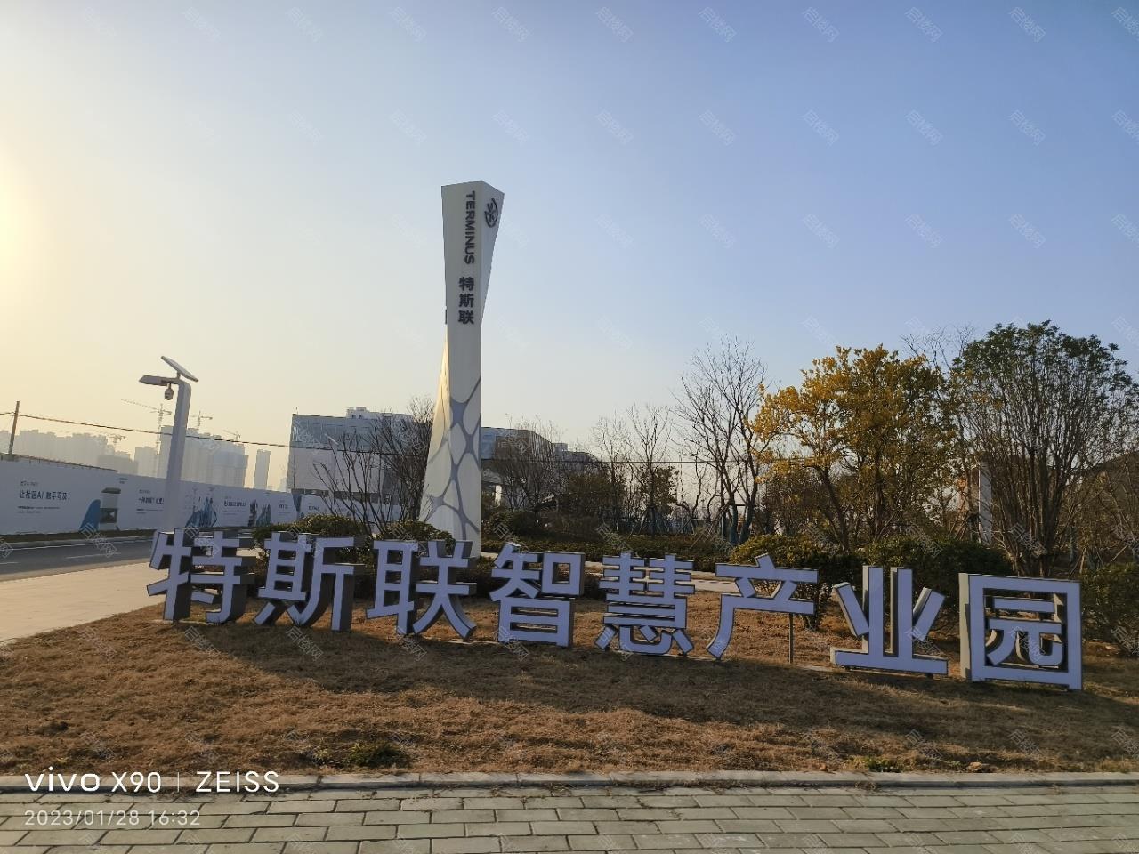 实拍图