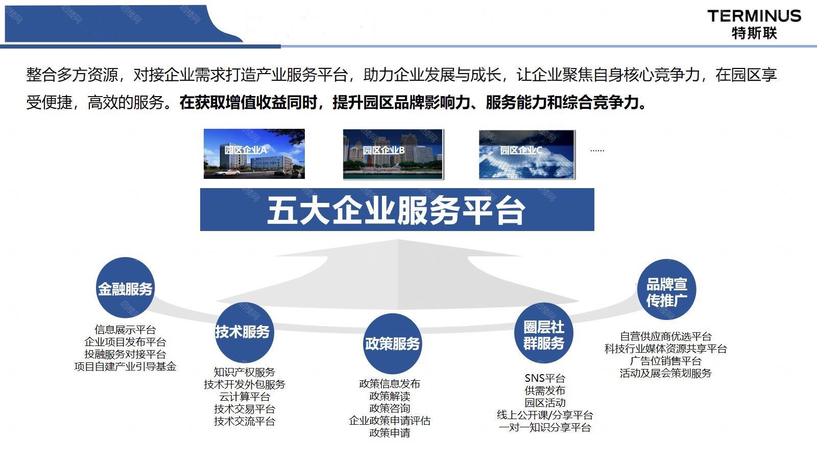 实拍图