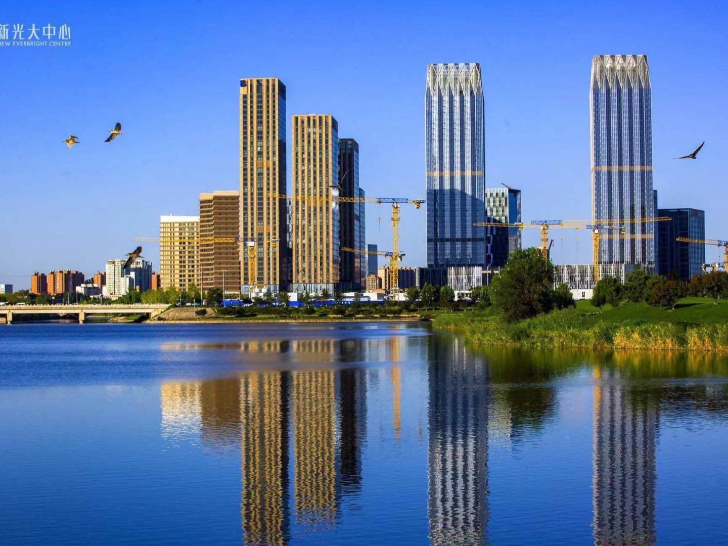实景图