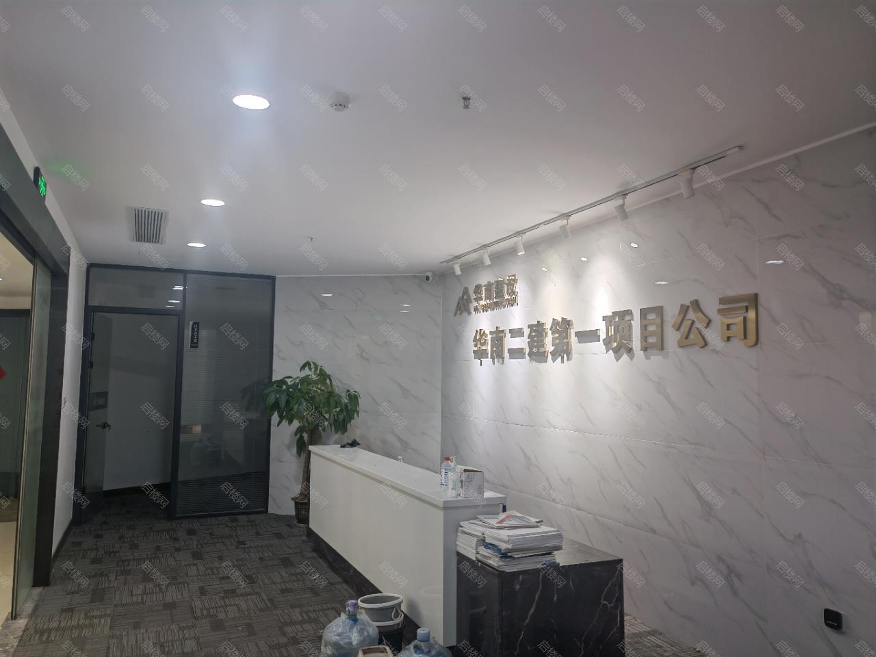 实拍图