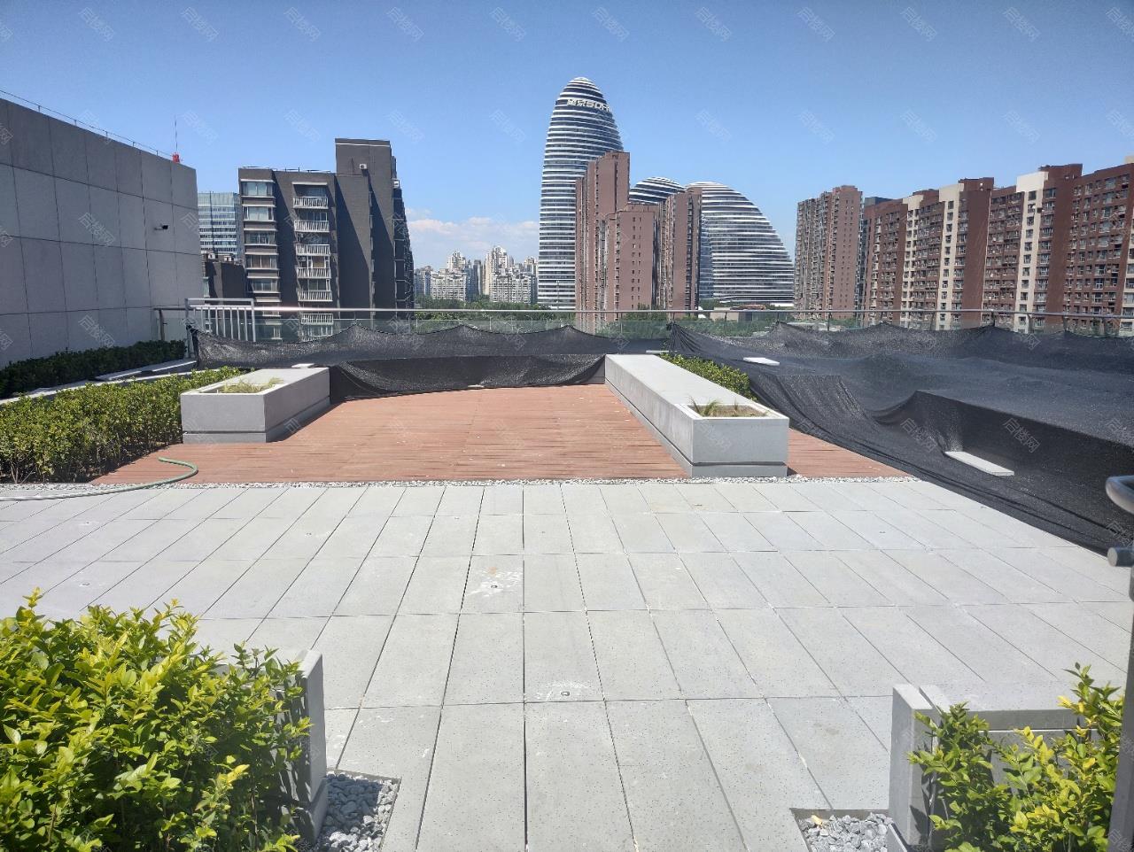 实拍图