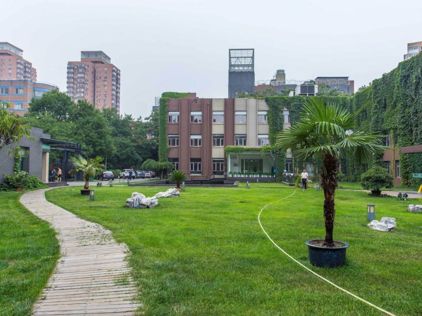 实景图