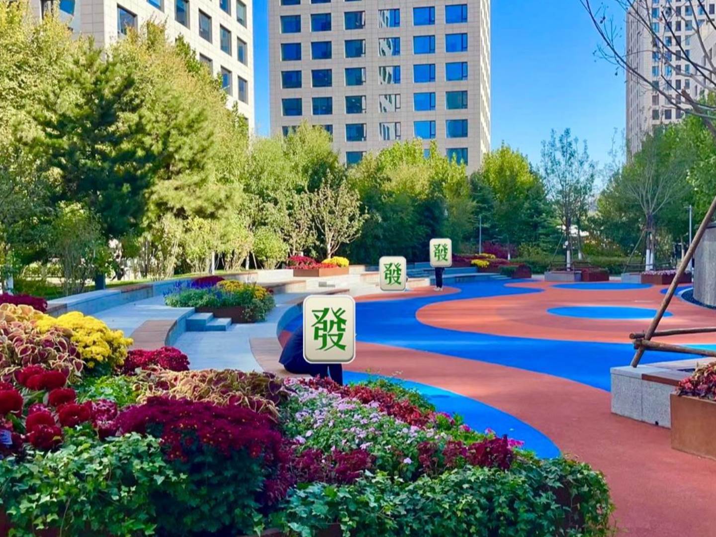实景图