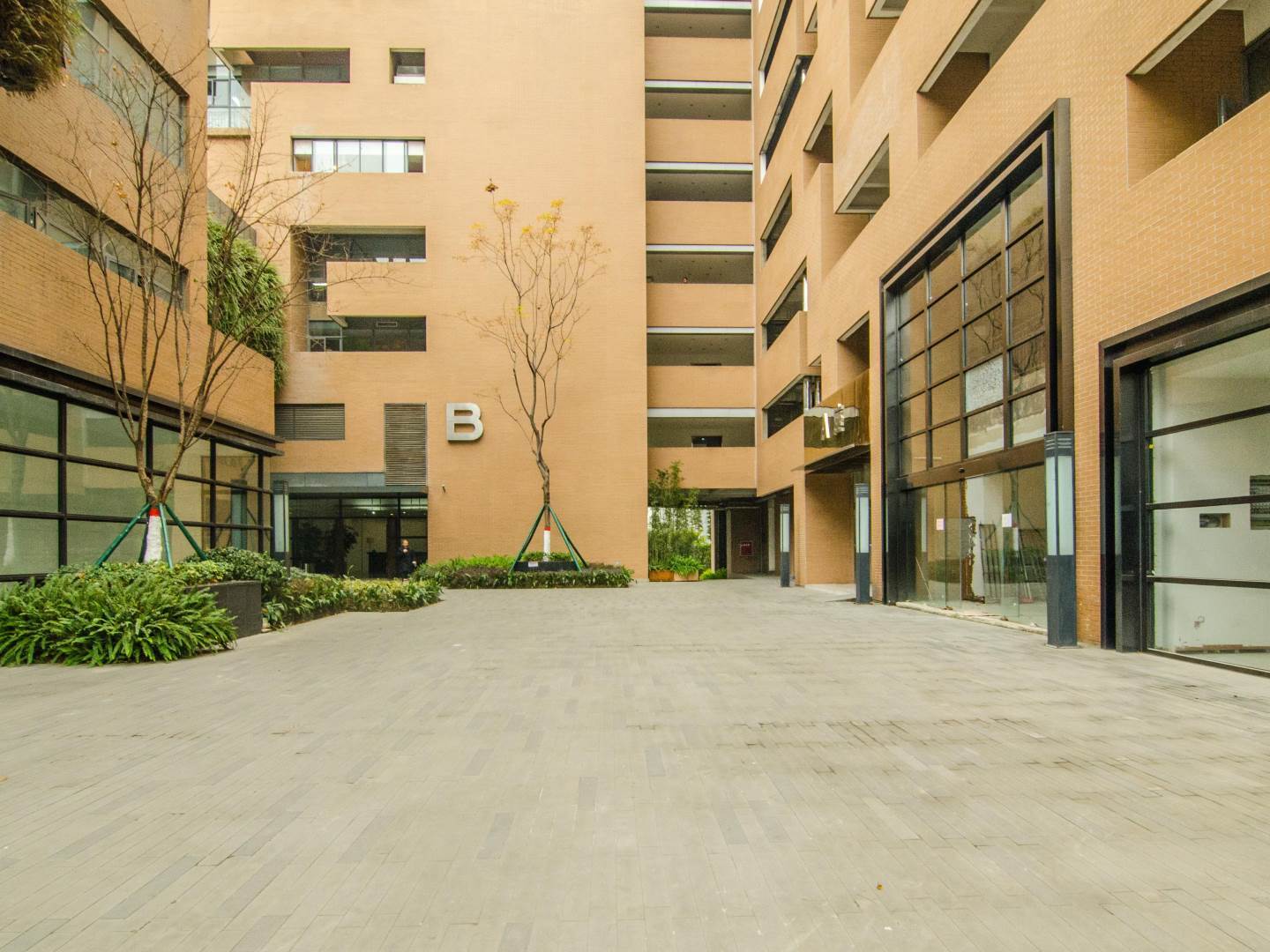 实景图