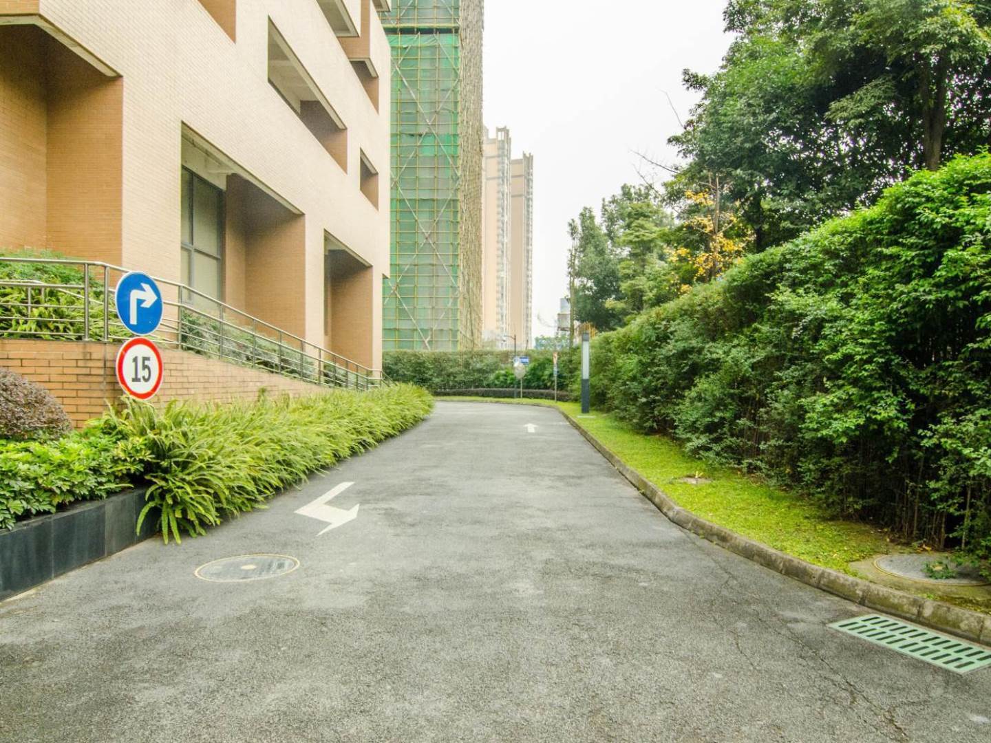实景图