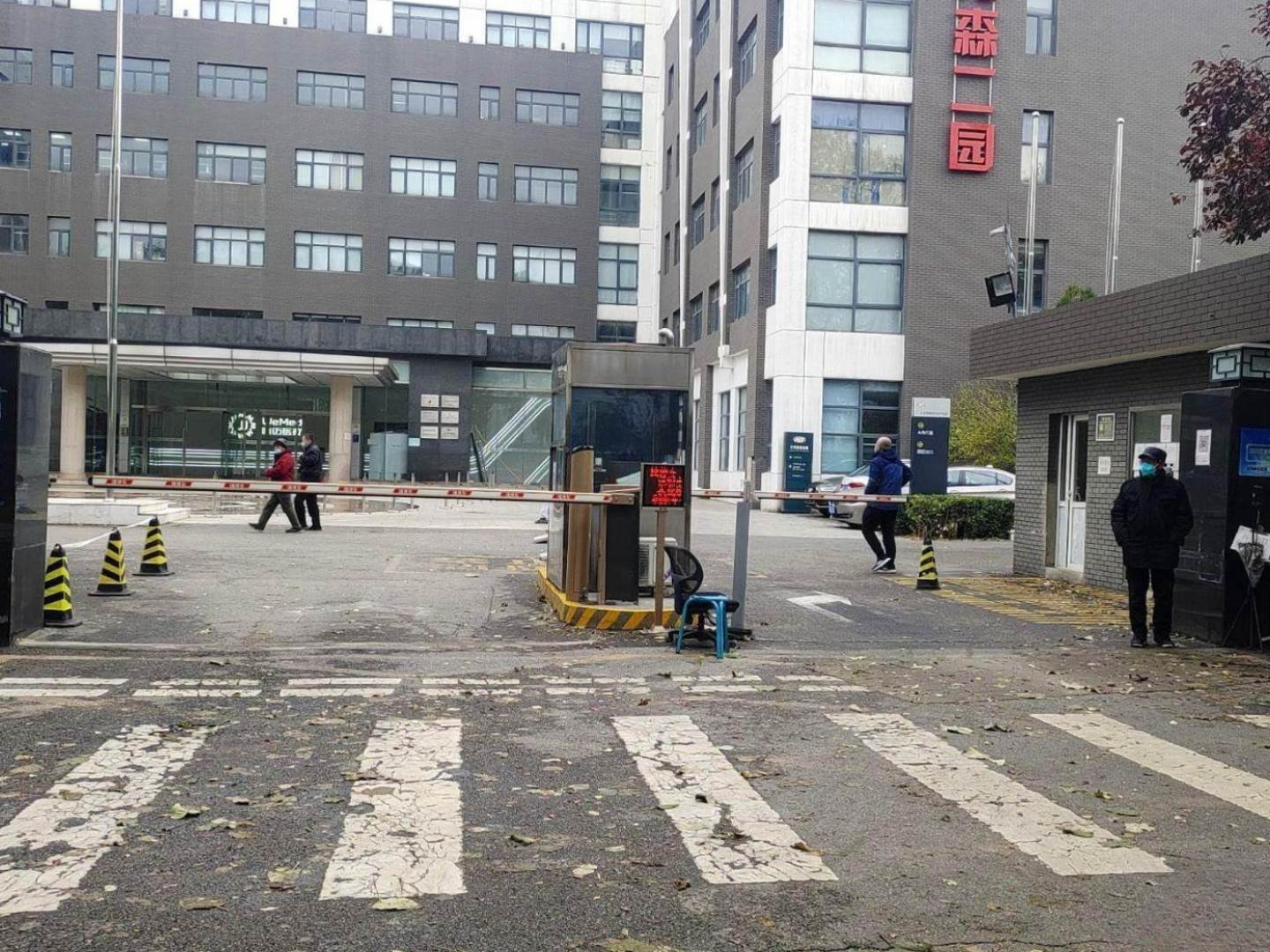 实景图