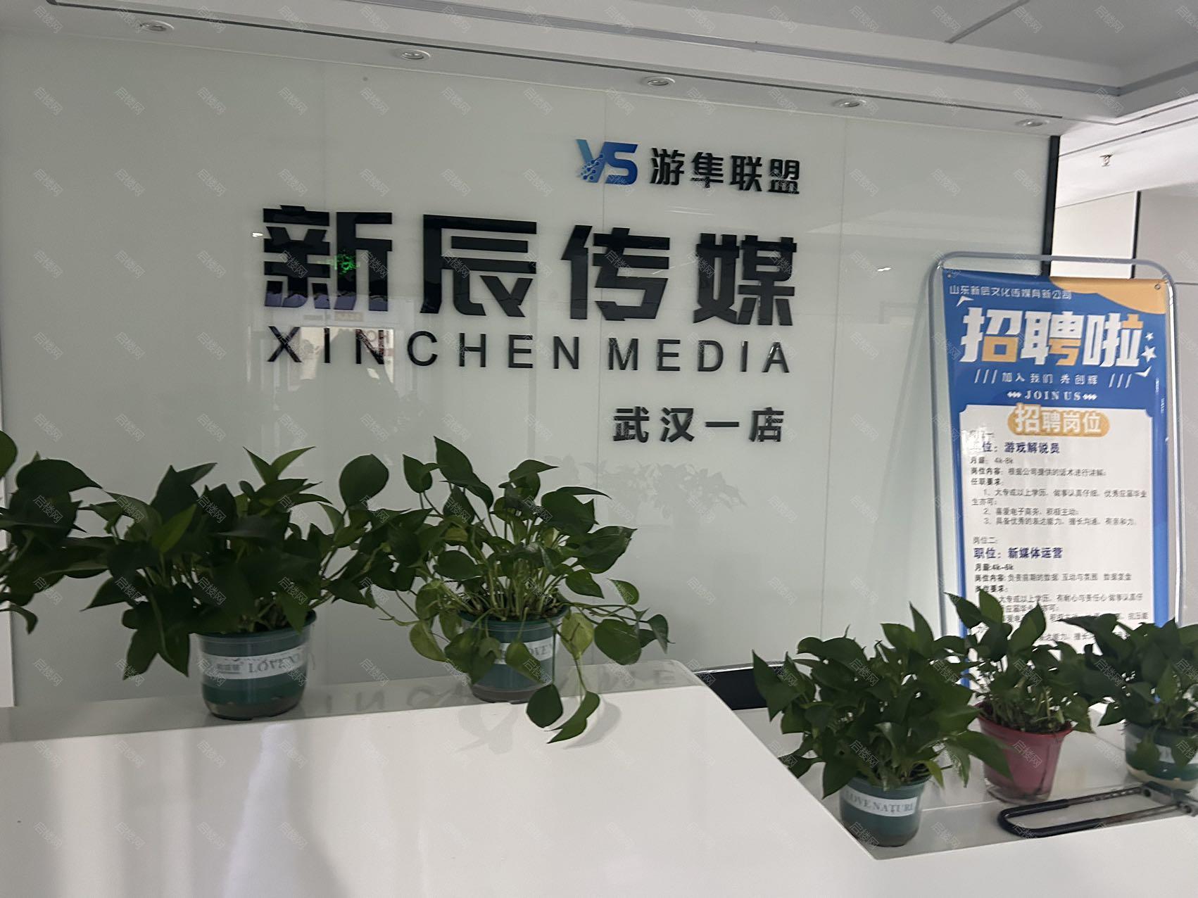 实拍图