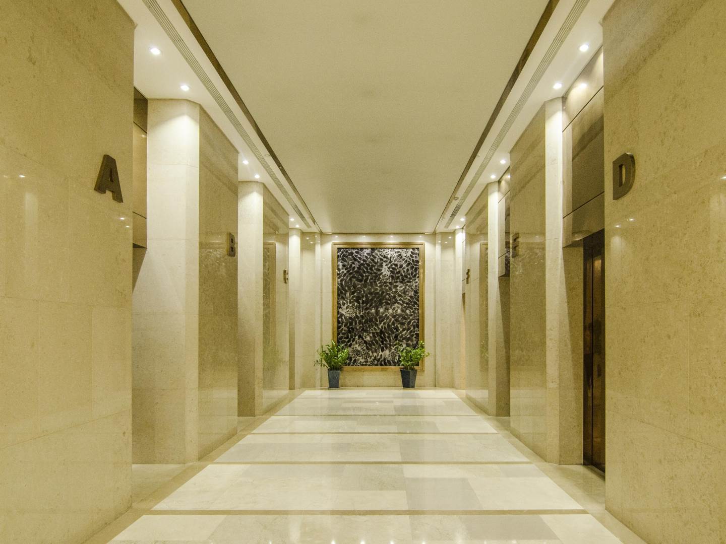 实景图