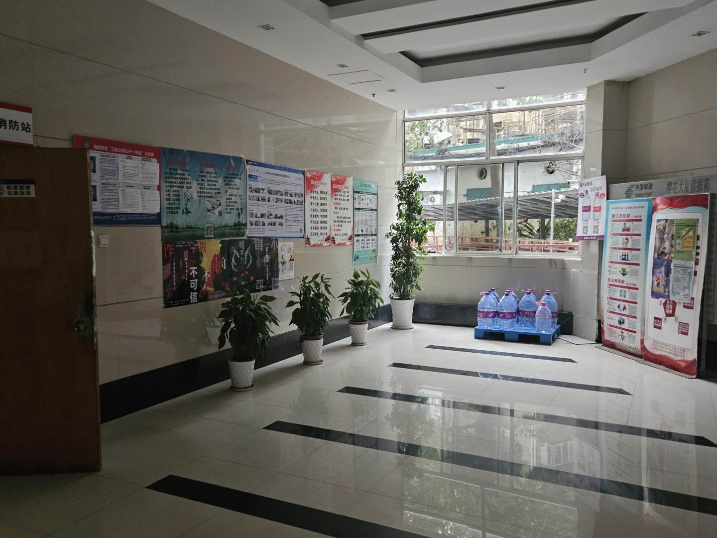 实景图