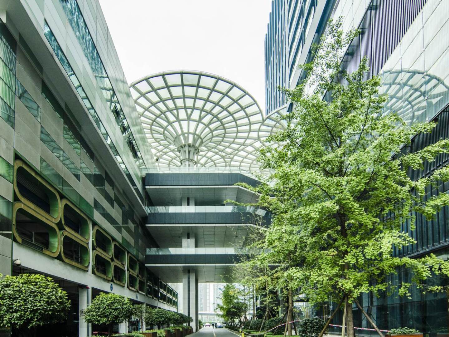 实景图