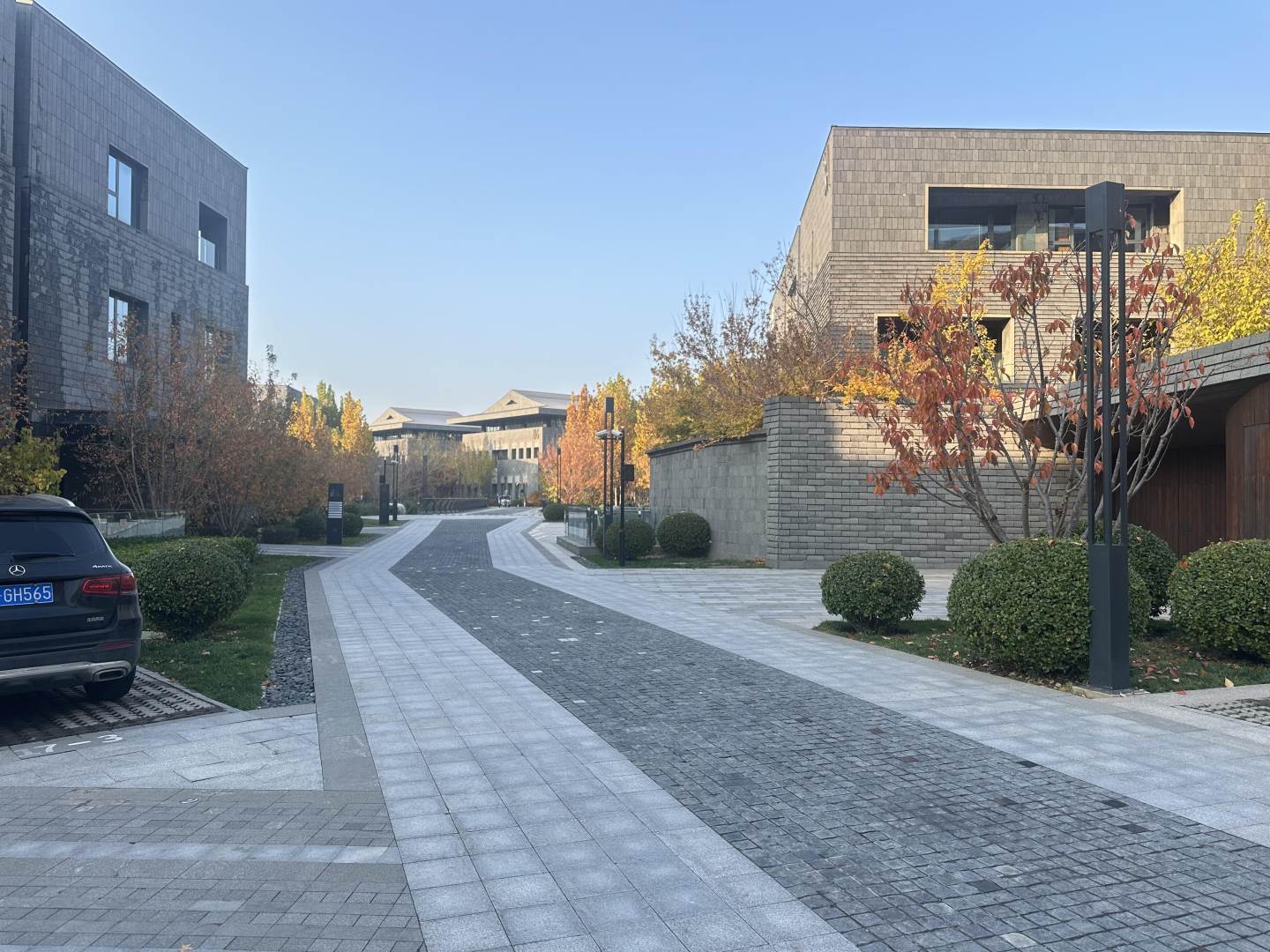 实景图