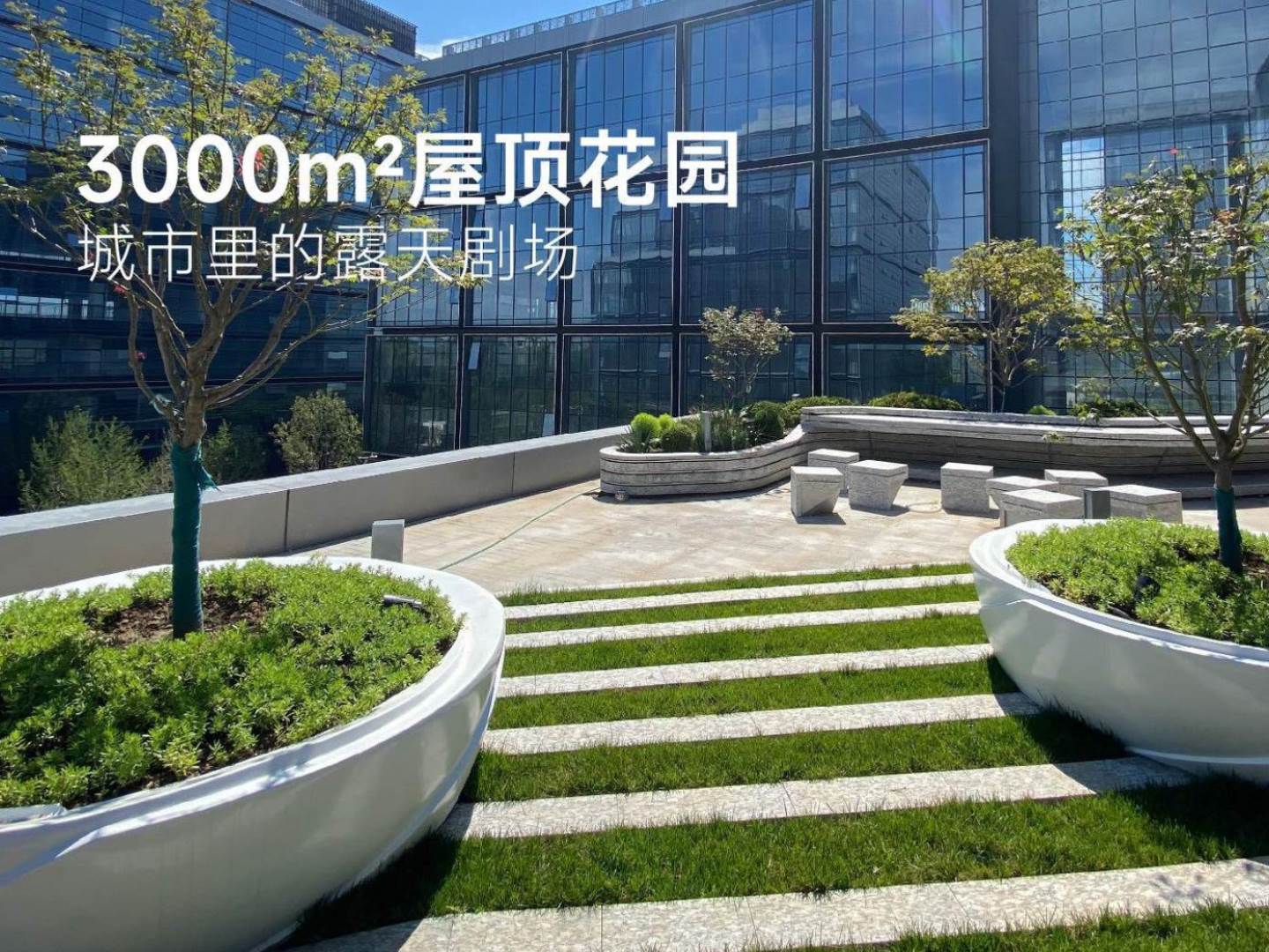 实景图