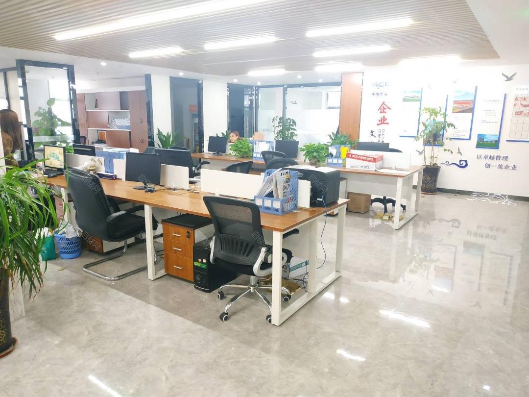 实拍图