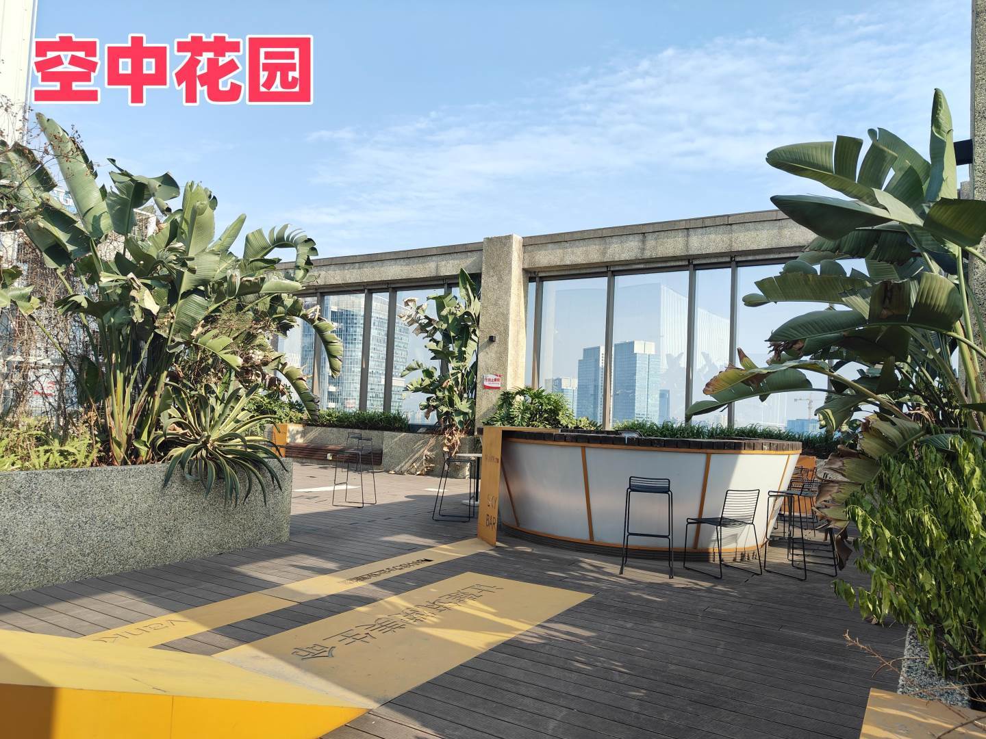实景图