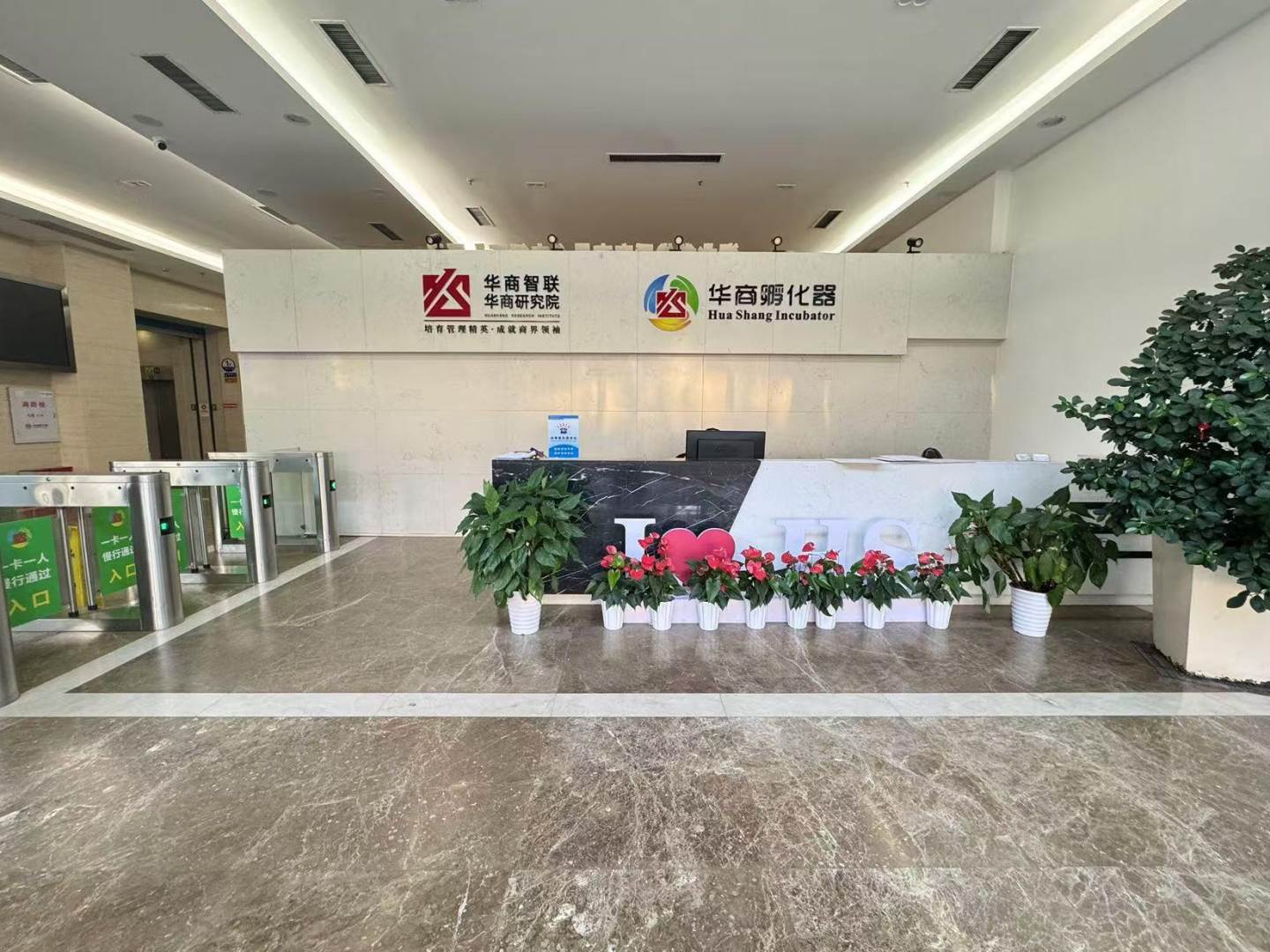 实景图