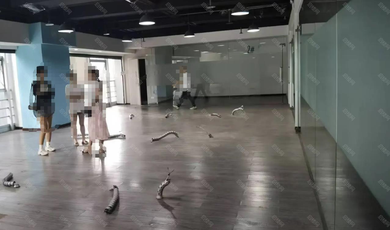 实拍图