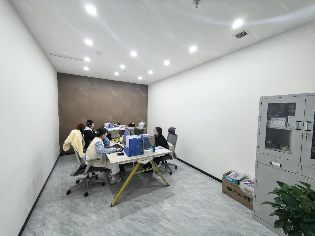 实拍图