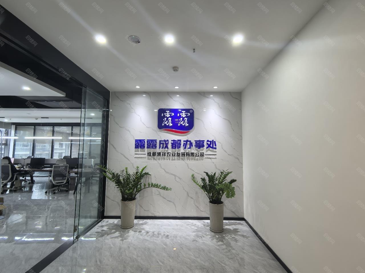 实拍图