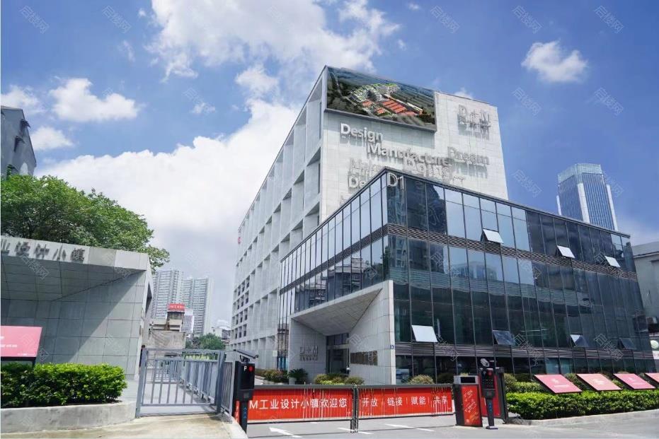 实拍图