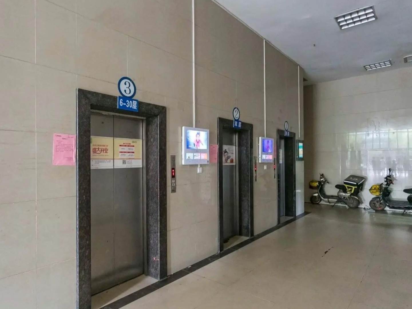 实景图