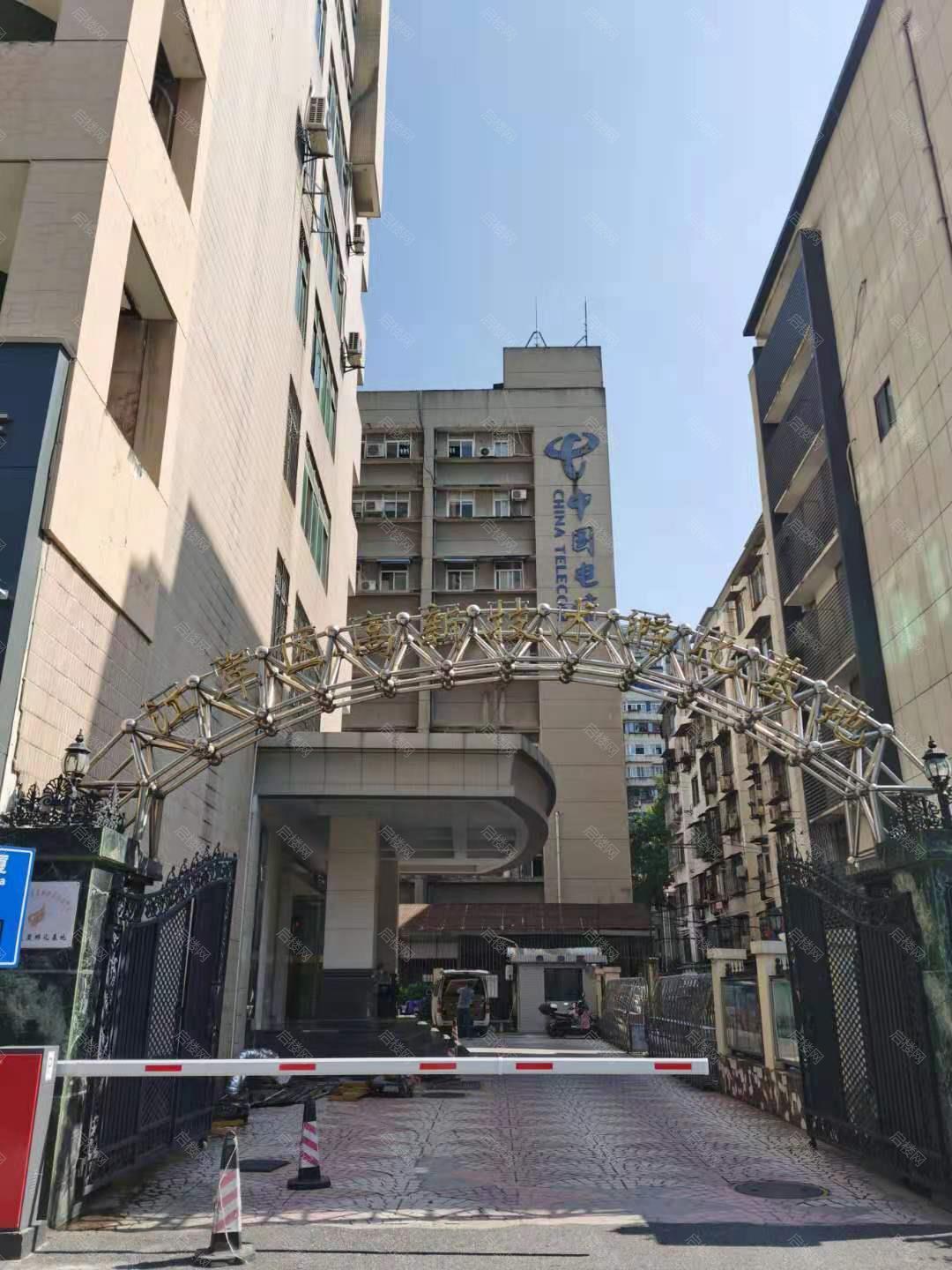 实拍图