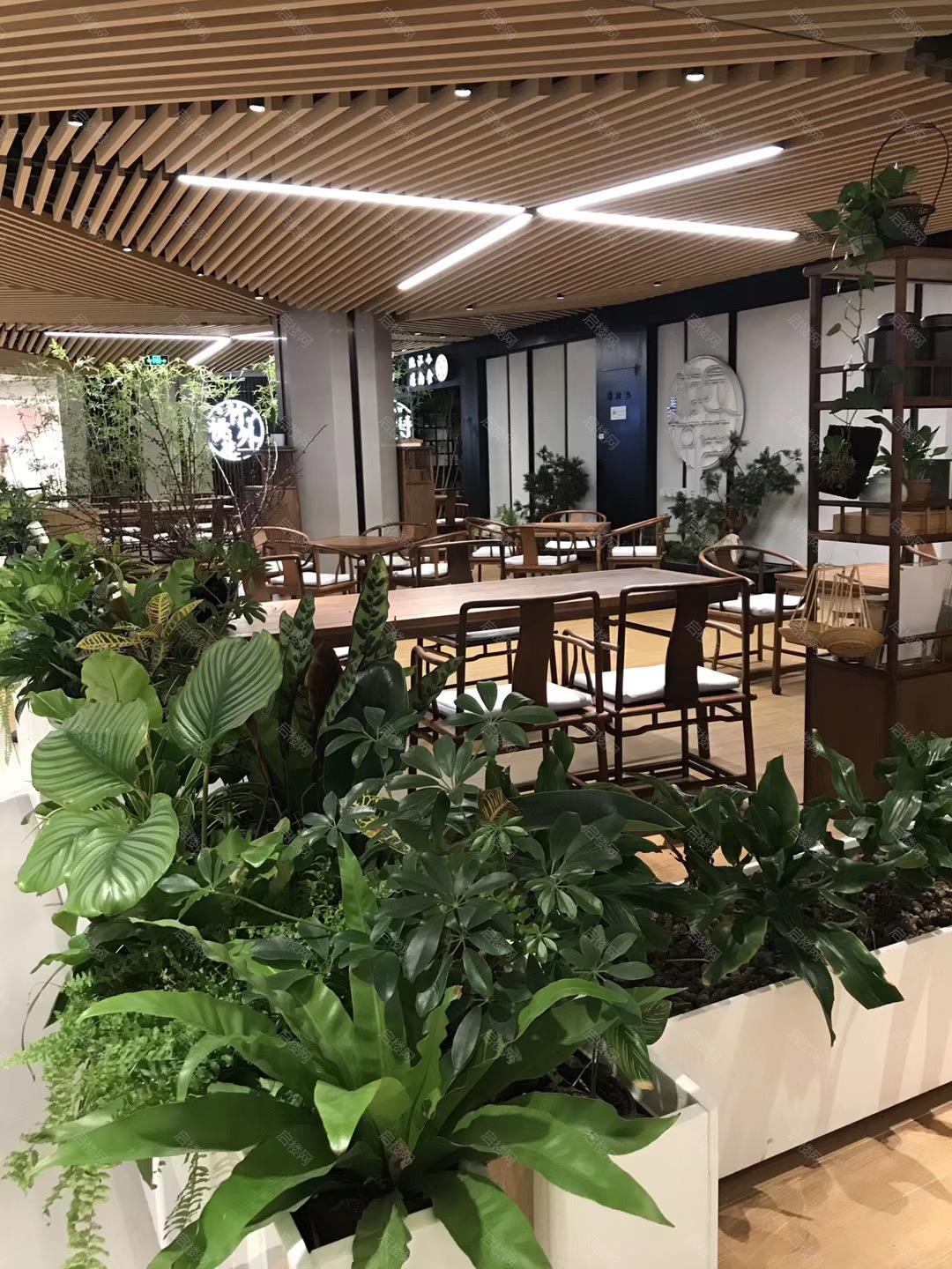 实拍图
