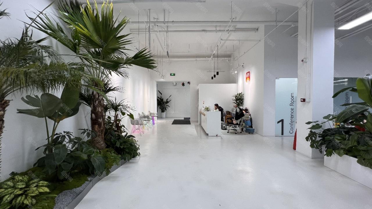 实拍图