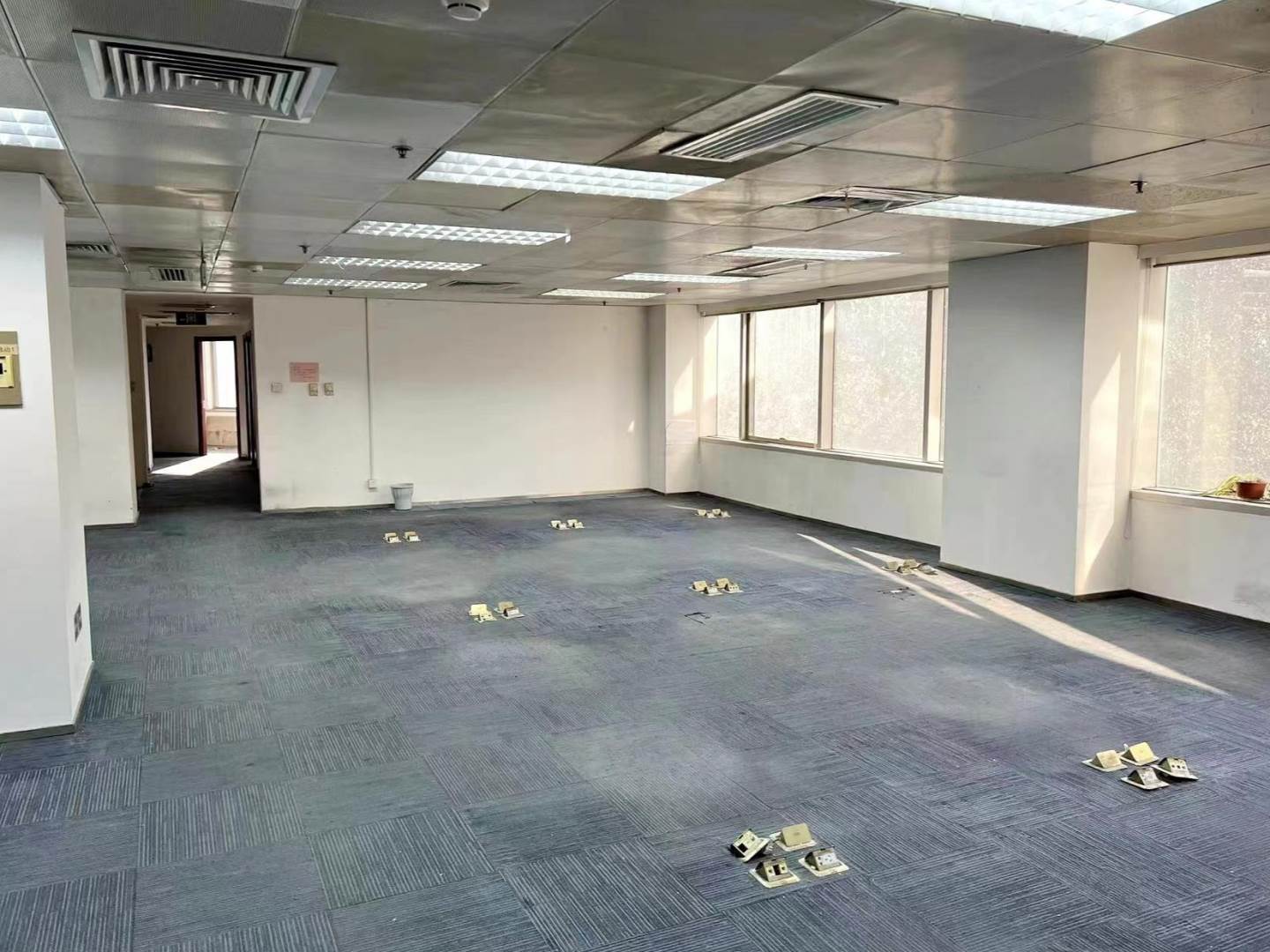 实拍图