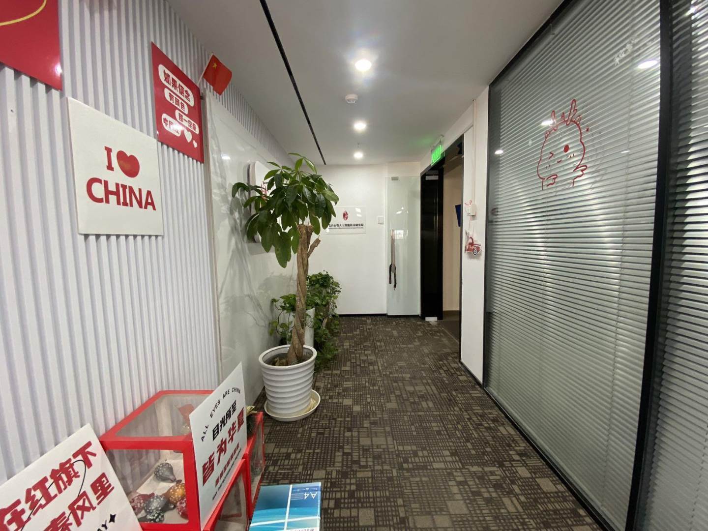 实拍图