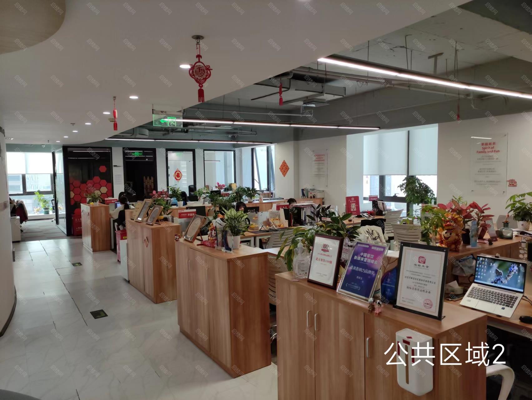 实拍图