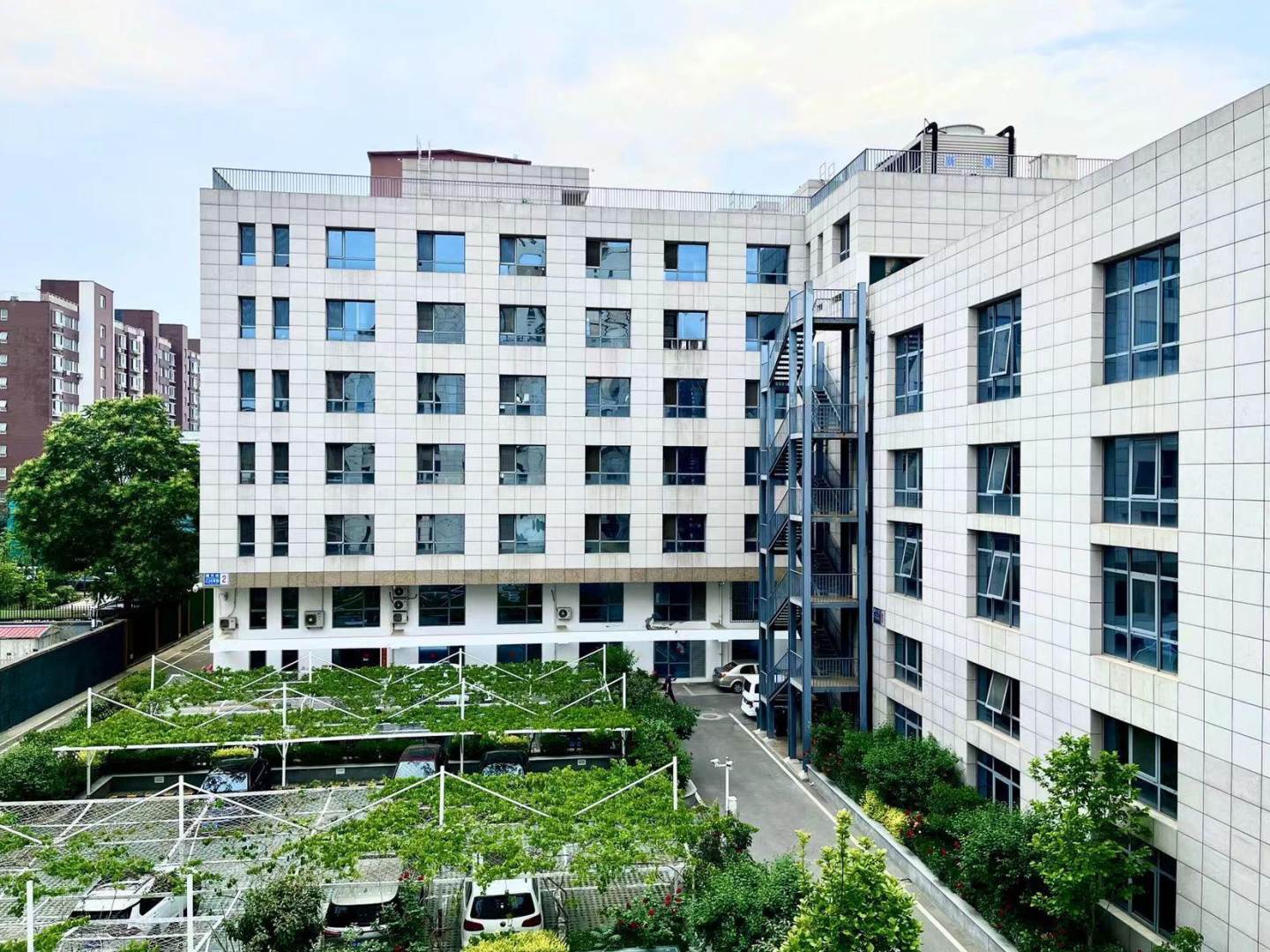 实景图