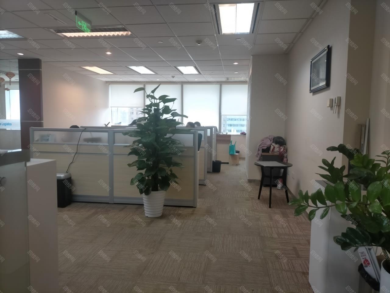 实拍图