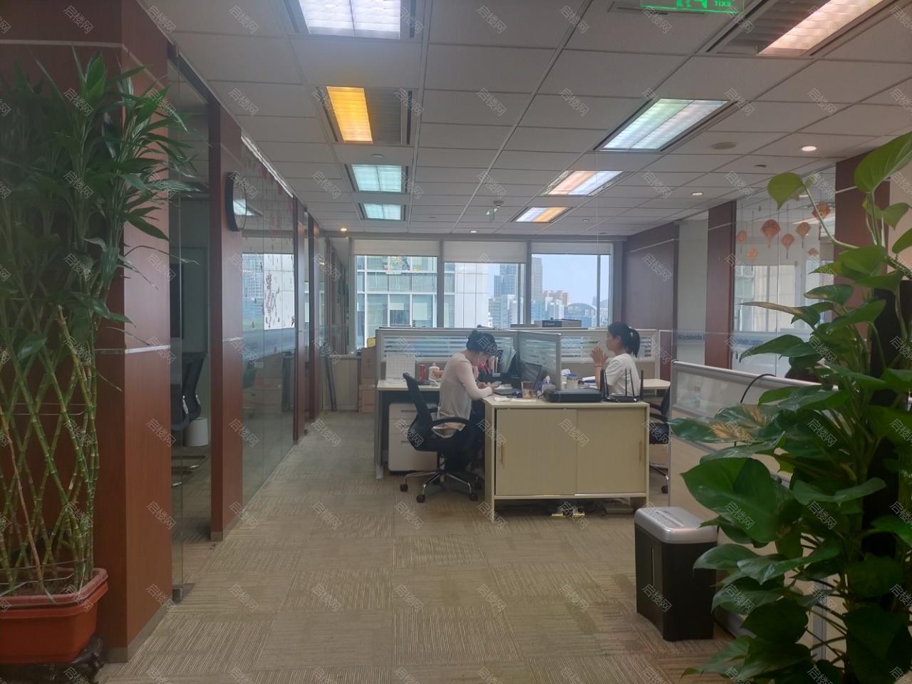 实拍图